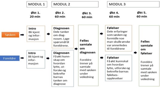 Figur 1 Oversikt over modulene og øktene i SIBS