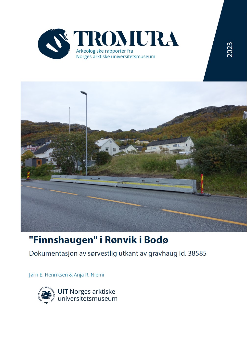 Forside rapport med veg og gravhaugen i bakgrunnen