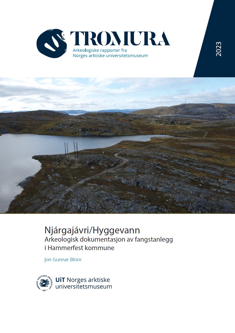 Forside rapport, med bilde av et vann, kjørespor og strømmaster. 