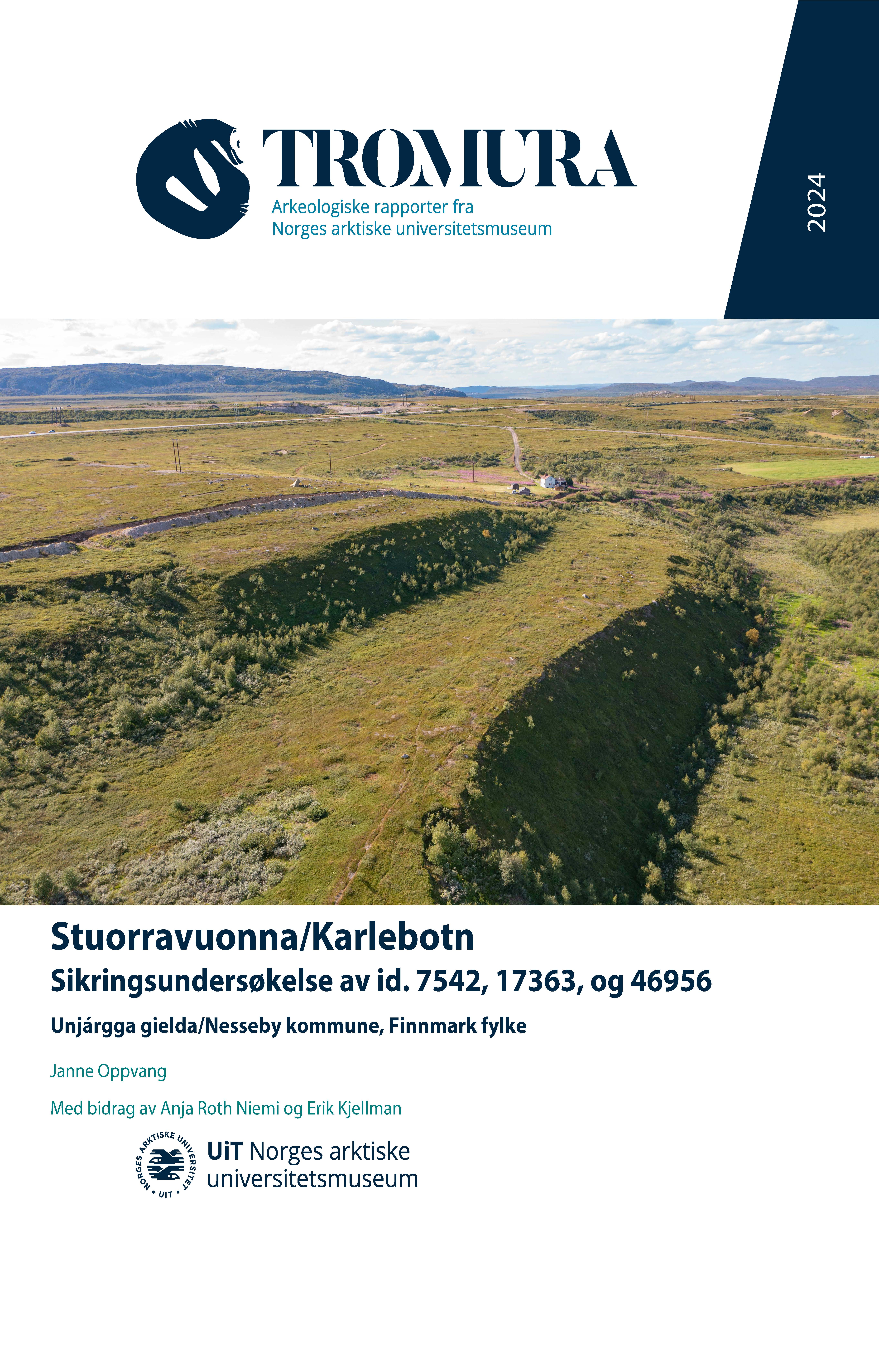 Forside rapport, landskap, dronebilde av undersøkelsesområdet.