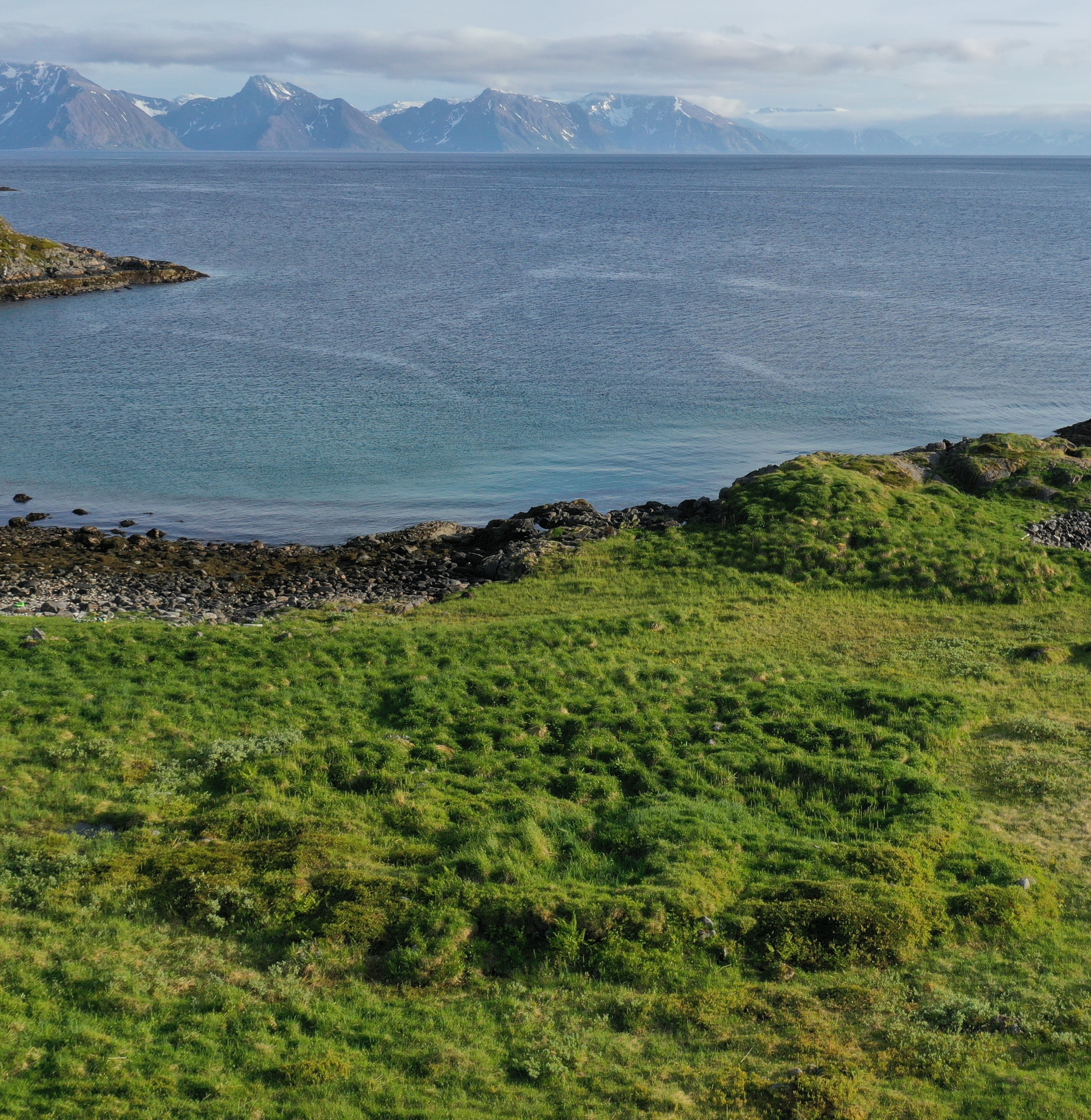 Mangeromstufter i Ytre Oksvika i Øyfjorden på Sørøya