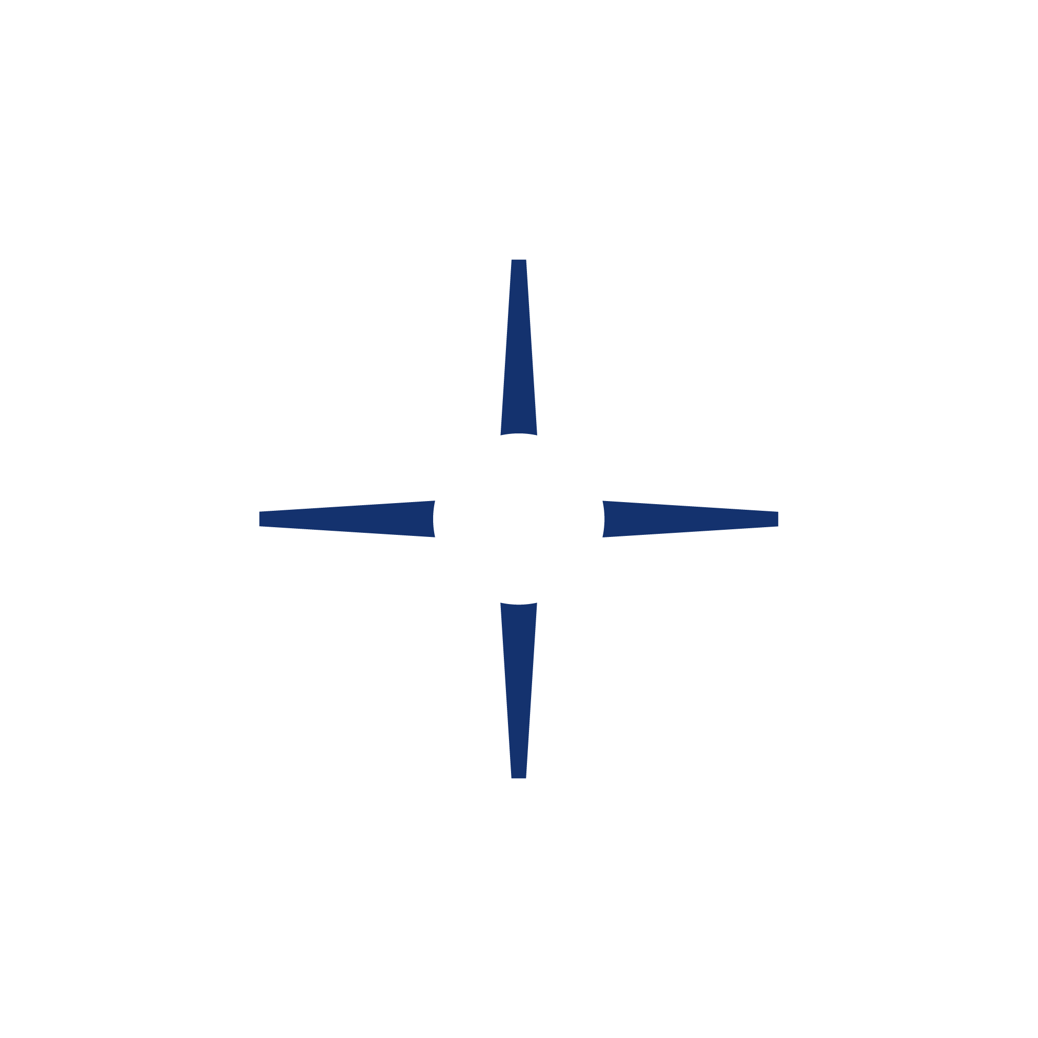 stylistic pole star